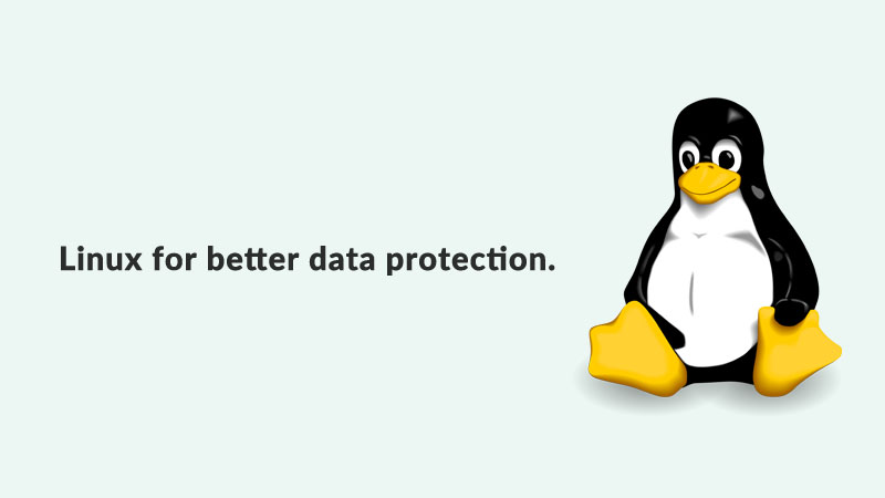 linux-for-data-protection